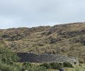 PICTURES/Ring of Kerry - Staigue Stone Fort/t_20250927_120317.jpg